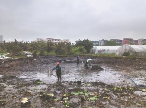 延平河道鱼塘清淤